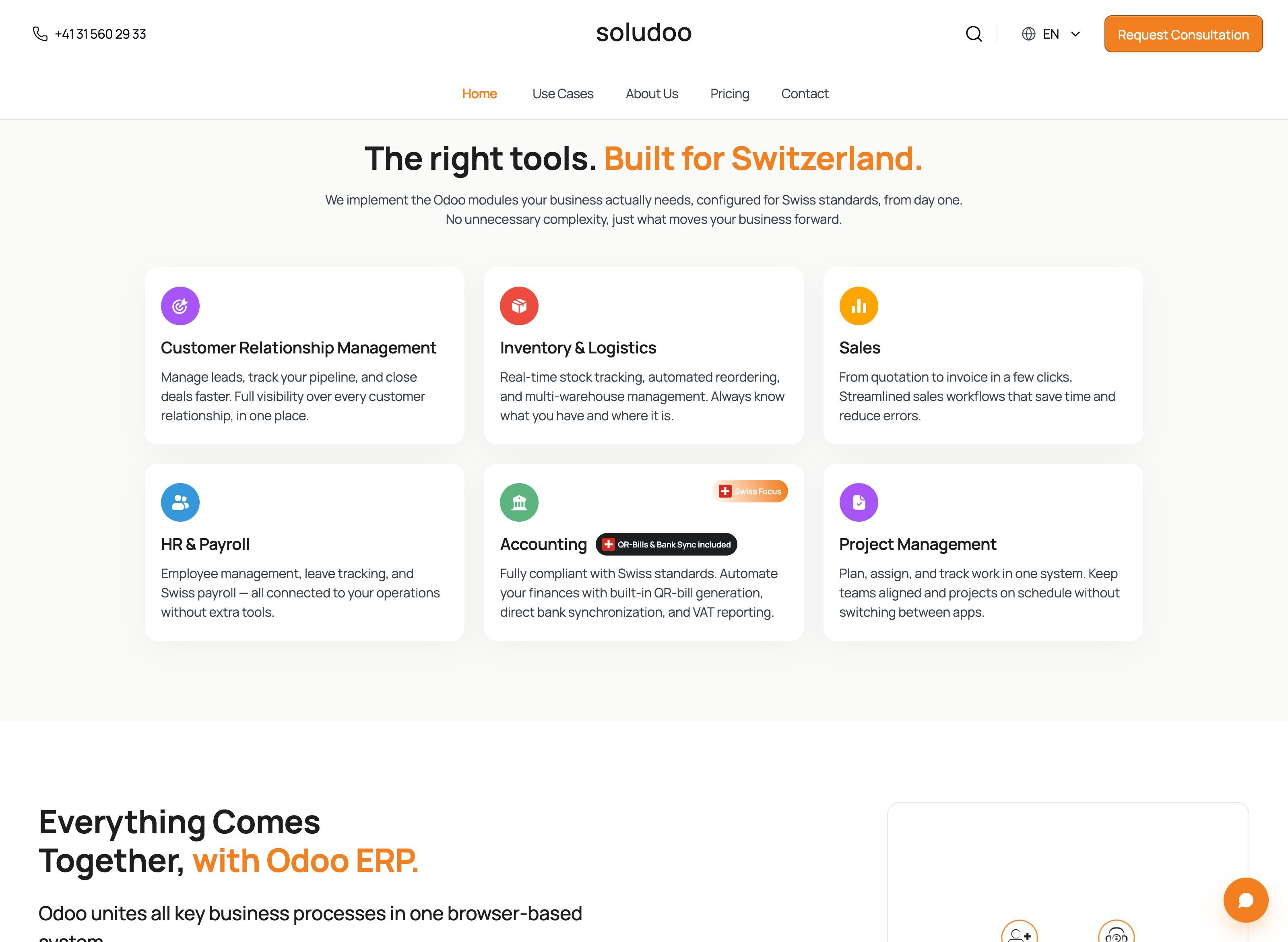 Soludoo website screenshot — IT Consulting · Switzerland